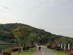 -龙寺生态园
