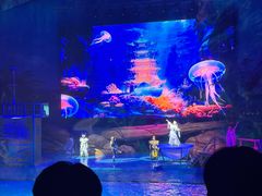 -海合安武汉极地海洋公园