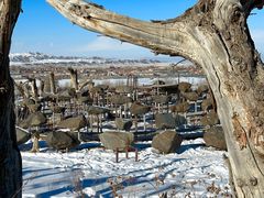 -丝绸之路山地度假区滑雪场