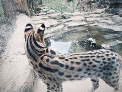 -杭州野生动物世界