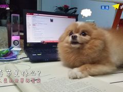 -沈阳站