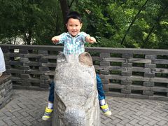 -上海佘山国家森林公园西佘山园