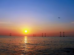 -宝安西湾红树林湿地公园