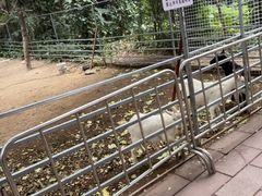 -厦门悦华酒店