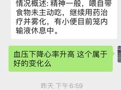 -申普宠物医院·心脏介入·心血管微创(总院)