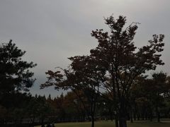 -仙游岛公园