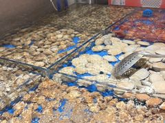 -小明家·鲜牛肉自选火锅(中街店)