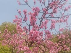 -西湖文化广场