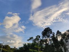 -南山文体中心-游泳馆