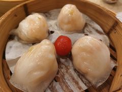 金牌虾饺皇-点都德(北京路贰店)