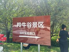 -牛背梁国家森林公园