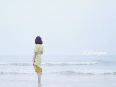 -日照海滨国家森林公园