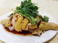 白切鸡-电白鸭粥店(下沙二坊88号店)