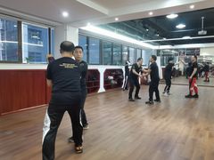 -温鉴良实用咏春拳