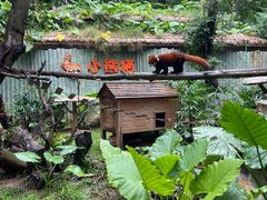 -深圳野生动物园