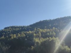 -鹿亭中村
