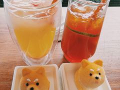 -柴犬高等学院·狗咖·柴犬售卖·宠物训练