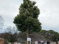 -天王寺公园