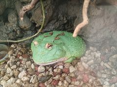 -南宫五洲植物乐园