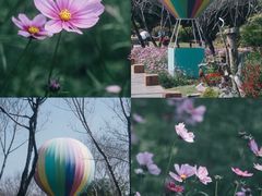 -厦门园林博览苑