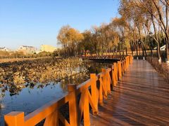 -南关北海公园