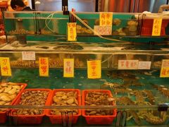 水产区-鲜入围煮花胶鸡海鲜火锅