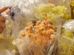 -三圣花乡旅游区