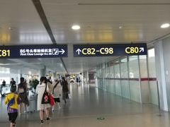 -上海浦东国际机场-T2航站楼