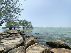 -宝安西湾红树林湿地公园