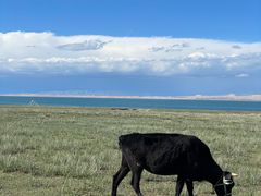 -青海湖国家重点风景名胜区