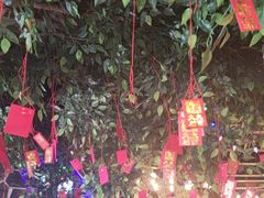 -顶顶汤火牛排火锅·经典铜锅涮肉