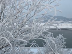 -雾凇岛