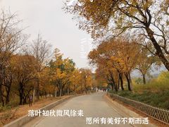 -北京西山国家森林公园