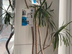 -Blueglass酸奶(上生新所店)