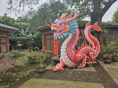 -海口火山口国家地质公园