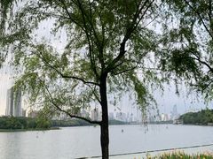 -南宁南湖公园