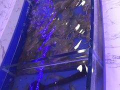 -澜悦港海鲜体验主题餐厅