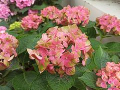 -共青国家森林公园-售票处