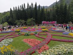 -深圳仙湖植物园