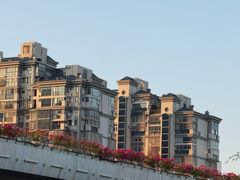 -厦门喜来登酒店