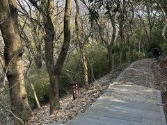 -上海佘山国家森林公园西佘山园