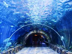 -华夏文旅海洋公园
