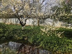 -杭州植物园
