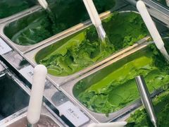 -鹤茶野所(上海首店)