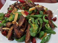 -蘑统田下·野生菌火锅