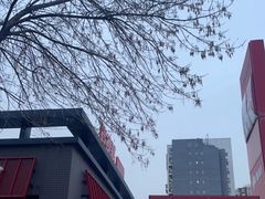 -肯德基(大兴火车站店)