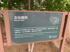 -大兴滨河森林公园