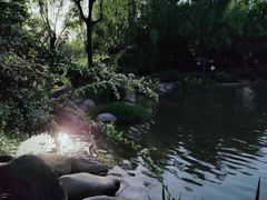 -新虹桥中心花园