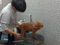 -宠物家(角门东店)