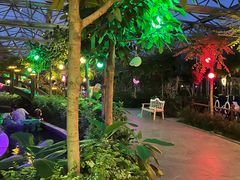 -南宫五洲植物乐园